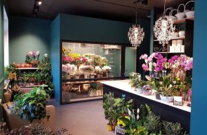 Советы по выбору свежих цветов в магазине