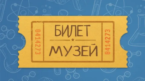 Билет в прошлое: как купить вход в музей и получить максимум впечатлений