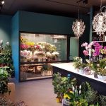 Советы по выбору свежих цветов в магазине