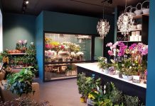 Советы по выбору свежих цветов в магазине