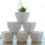 Как выбрать кашпо для цветов?