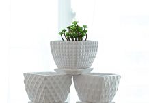 Как выбрать кашпо для цветов?