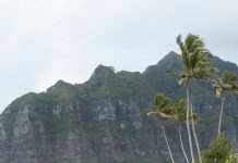 Волшебство Шри-Ланки: Путеводитель по Острову Чудес