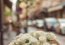 Правила ухода за цветами из магазина