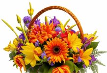 Основные моменты при доставке цветов