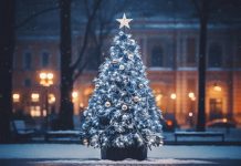 Как выбрать новогоднюю елку?
