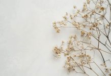 Как ухаживать зе срезанными гипсофилами?