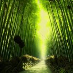 Испольование искусственных веток бамбука в интерьере