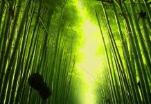 Испольование искусственных веток бамбука в интерьере