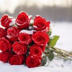 Правила доставки роз