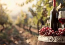 Как выбрать вино в ресторане?