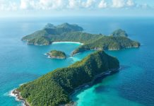 Кому идеально подойдут Сейшельские острова: найдите свой рай под солнцем