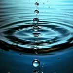 Роль воды в организме