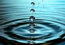 Роль воды в организме