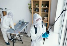 Дезинфекция от тараканов: эффективные методы борьбы