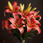 Уход за букетом лилий