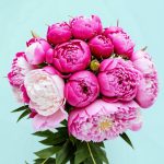 Как продлить жизнь букета пионов?