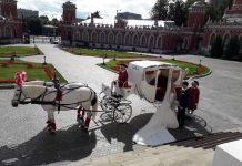 Конная свадьба: как устроить романтический праздник!