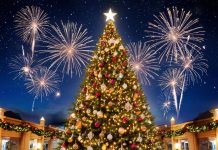 Кто может закупать новогодние елки оптом?