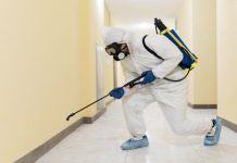 Война с невидимым врагом: Полное руководство по уничтожению клопов