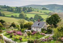 Расчистка территории дачного участка и ее особенности