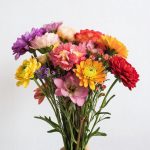 Как продлить жизнь срезанным цветам: 7 профессиональных секретов