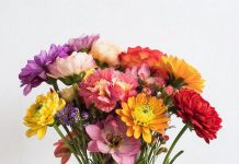 Как продлить жизнь срезанным цветам: 7 профессиональных секретов