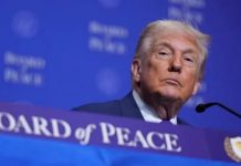 Названы 9 стран, которые внесли в бюджет «Cовета мира» Трампа более $7 млрд