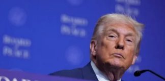 Названы 9 стран, которые внесли в бюджет «Cовета мира» Трампа более $7 млрд