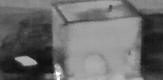 Опубликовано видео ликвидации террориста, готовившего атаку в Ставрополе