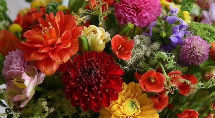 Доставка квітів: сучасний сервіс для приємних емоцій та важливих моментів