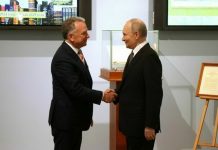 Уиткофф назвал вероятные сроки встречи Путина, Трампа и Зеленского