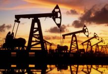 В Совфеде высказались об отношениях с Индией, отказавшейся от российской нефти