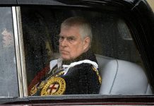 ВВС: брата короля Великобритании Эндрю задержали по делу Эпштейна