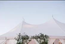 Организация свадьбы на открытом воздухе в Подмосковье: гармония природы и торжества