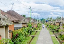 Губернатор Бали заявил о ликвидации на острове русской и украинской деревень