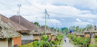 Губернатор Бали заявил о ликвидации на острове русской и украинской деревень