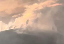 Кавер легендарного российского хита 90-х взлетел в лидеры мирового топа Shazam