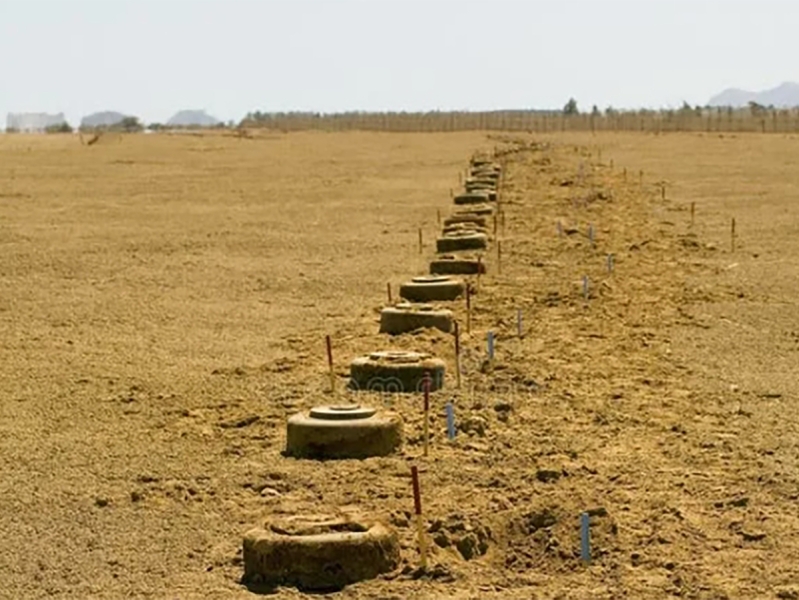 «Командир заставлял бойцов разминировать минное поле ногами»: полковник Пегасов сообщил о гибели 5 военных и инициировал проверку СКР