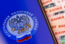 «Сидят в убытках»: в России рухнули налоговые сборы с малого бизнеса на фоне повышения НДС