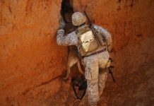 Спасая пилота F-15, США неожиданно проникли к ядерному центру Ирана, обойдя ПВО