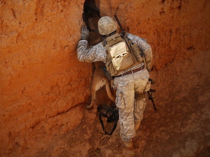 Спасая пилота F-15, США неожиданно проникли к ядерному центру Ирана, обойдя ПВО