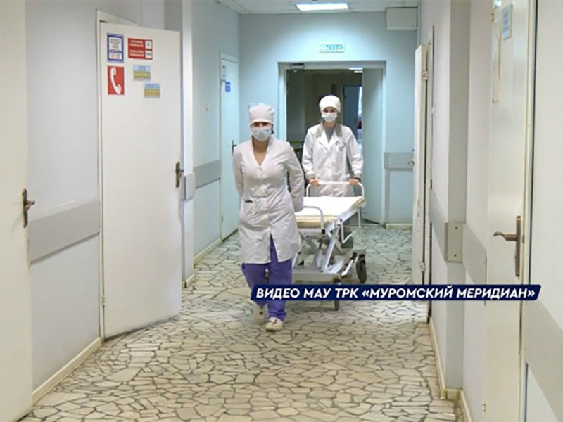 В Госдуме обратятся в Генпрокуратуру из-за массового отравления в Муроме