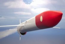 В России объяснили отсутствие ударов «Буревестником» и «Орешником» по Украине