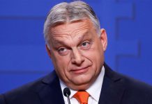 «Вывозят миллиарды»: соратники Орбана массово выводят деньги из Венгрии — The Guardian