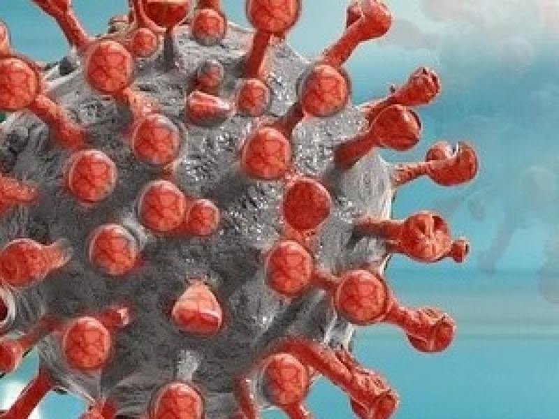 Ученые нашли новое средство против коронавируса