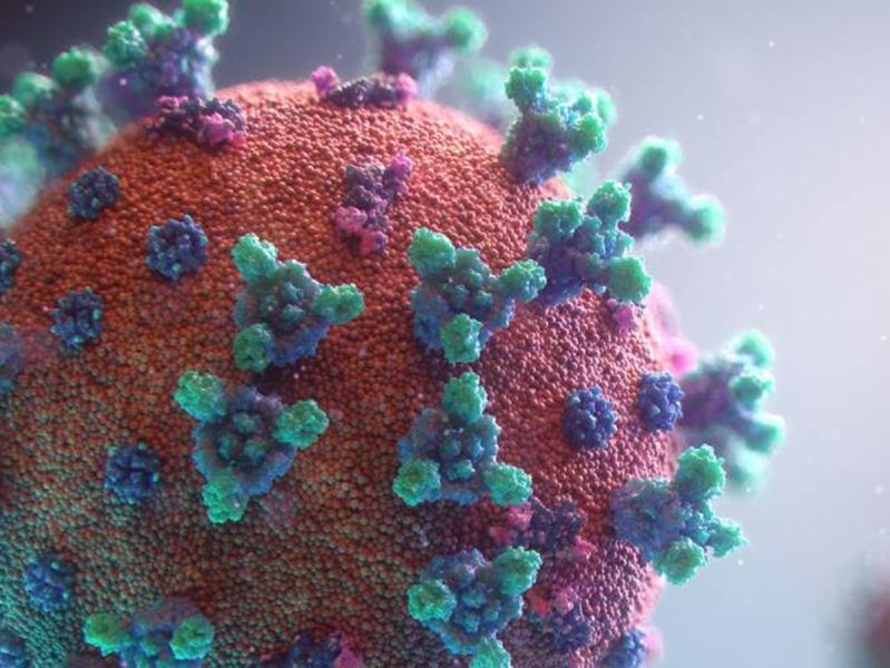 Ученые обнаружили “суперантитело”, способное нейтрализовать коронавирус